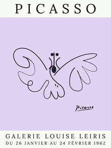 Art Classics, Picasso Butterfly – púrpura (Francia, Europa)