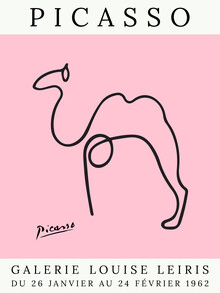 Art Classics, Picasso Camel – rosa (Francia, Europa)