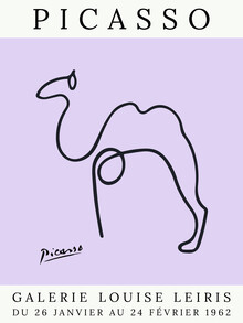 Art Classics, Picasso Camel – púrpura (Francia, Europa)
