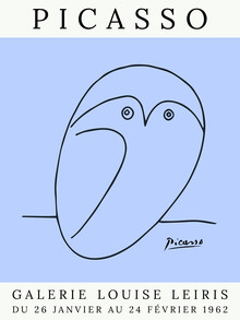 Art Classics, Picasso Owl – violeta (Francia, Europa)