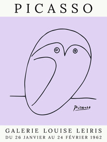 Art Classics, Picasso Owl – púrpura (Francia, Europa)