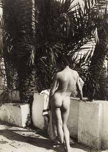 Colección Vintage, Wilhelm von Gloeden: Male Nude (Alemania, Europa)