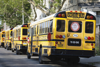 Michael Belhadi, autobuses escolares jasídicos
