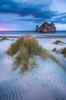 Jean Claude Castor, Playa Wharariki de Neuseeland