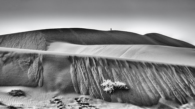 Dennis Wehrmann, Dunes Sossusvlei - Namibia, África)