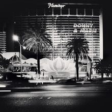 Ronny Ritschel, Flamingo - Las Vegas,* USA 2013 - Estados Unidos, Norteamérica)