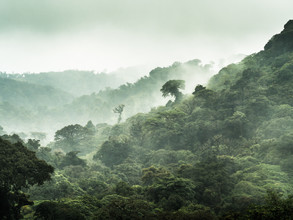 Johann Oswald, Der Nebelwald von Monteverde 3 - Costa Rica, América Latina y el Caribe)