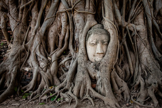 Sebastian Rost, Buda en Ayutthaya - Tailandia, Asia)