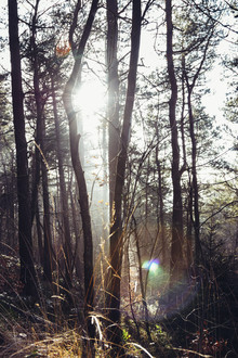 Nadja Jacke, Teutoburger Wald en strahlendem Sonnenlicht