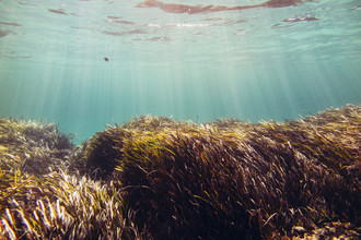 Nadja Jacke, Formentera bajo el agua