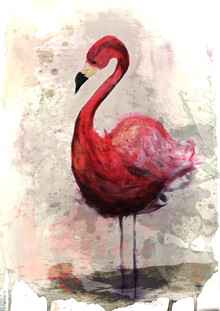 Sabrina Ziegenhorn, Pink Flamingo (Alemania, Europa)