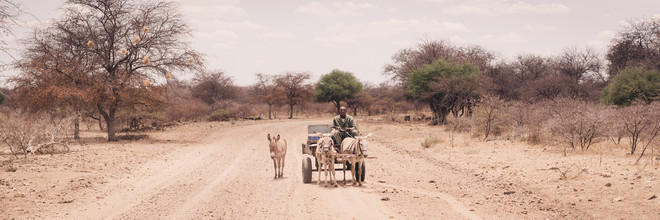 Dennis Wehrmann, Kalahari Ferrari Botswana (Botswana, África)