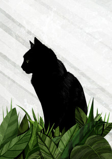 Katherine Blower, gato negro