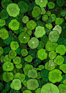 Katherine Blower, hojas verdes