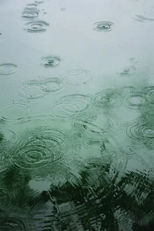 Gotas de lluvia bajo el árbol - Fotografía artística de Studio Na.hili