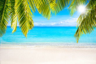 Jan Becke, Vacaciones de verano en la playa (Polinesia Francesa, Oceanía)