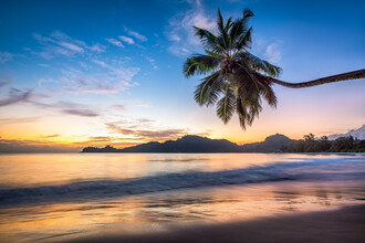 Jan Becke, playa de palmeras en las Seychelles