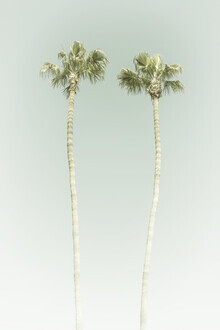 Melanie Viola, Vintage Palm Trees - Estados Unidos, América del Norte)