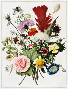 Gráficos de naturaleza vintage, ramo de flores (Alemania, Europa)