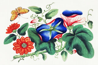 Vintage Nature Graphics, pintura china con flores y una mariposa amarilla (Alemania, Europa)