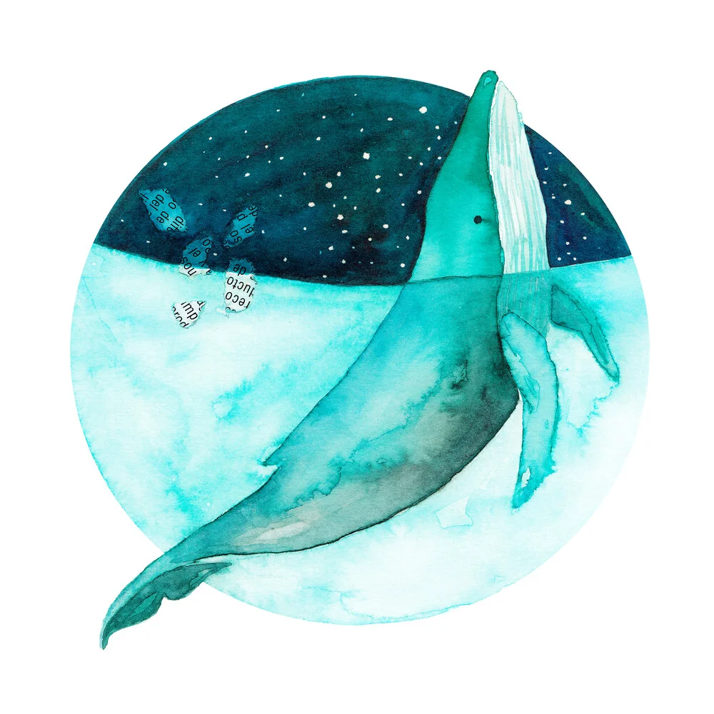 Baleine bleue - fotokunst von Marta Casals Juanola