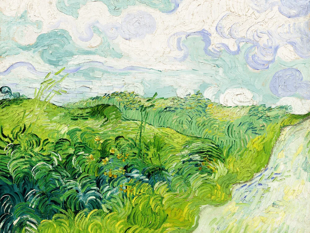 Vincent Van Gogh: Champs de blé vert - Photographie d'art par Art Classics