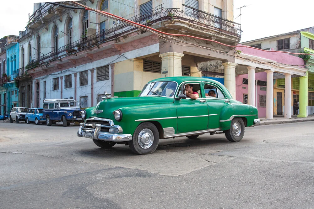 Green Havana - Photographie d'art par Miro May