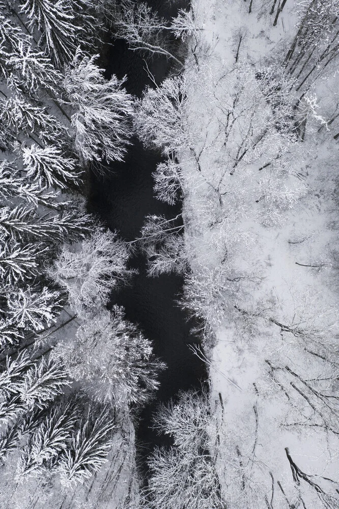 rivière noire à travers la forêt d'hiver enneigée - Photographie fineart par Studio Na.hili