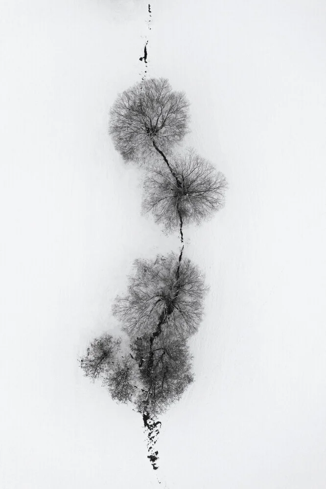 arbres à un ICE STREAM enneigé - Fineart photographie par Studio Na.hili