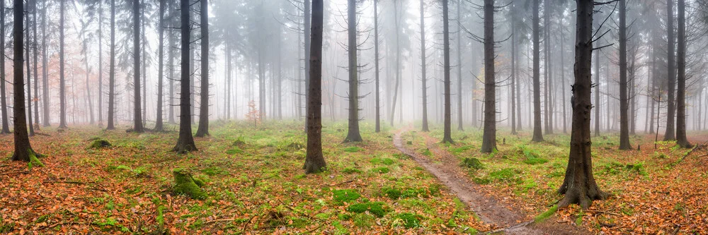 Panorama de la forêt en automne - Photographie fineart de Jan Becke