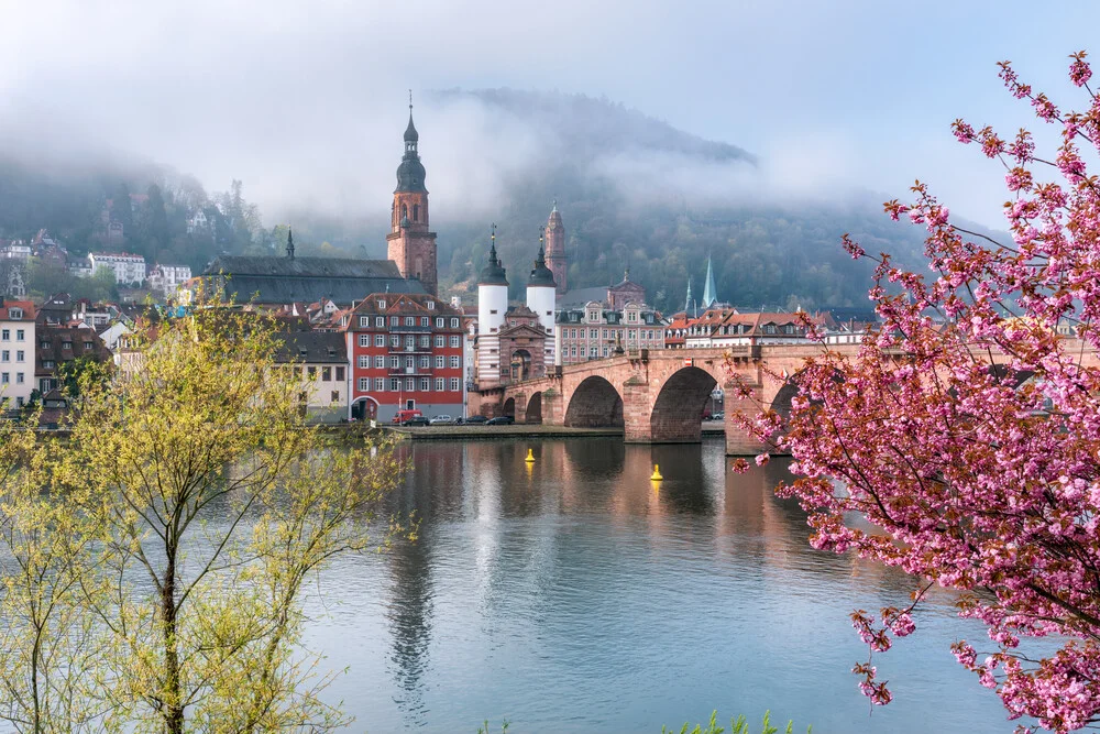 Vieille ville d'Heidelberg au printemps - Photographie fineart de Jan Becke