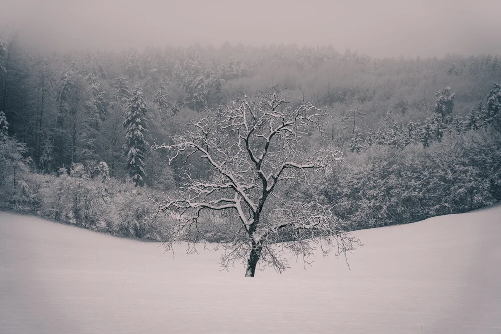 Journée froide en hiver - Photographie fineart de Bernd Grosseck