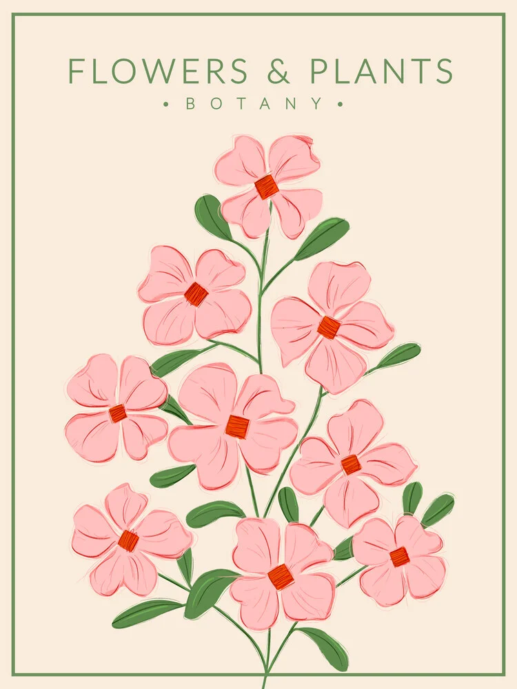 Fleurs roses tendres - Botanique no4 - Photographie d'art par Ania Więcław