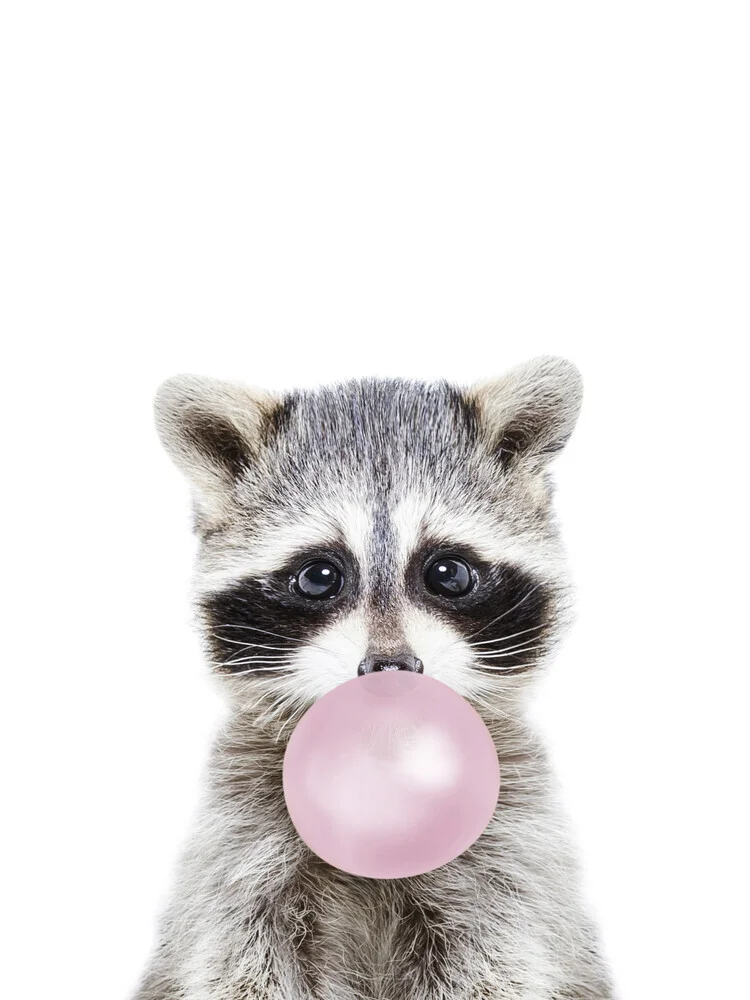 Bubble Gum Racoon - Photographie d'art par Kathrin Pienaar