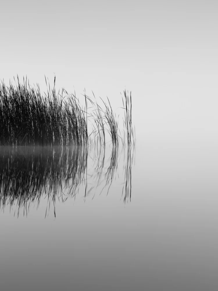 encore une matinée au bord du lac - Photographie Fineart par Holger Nimtz