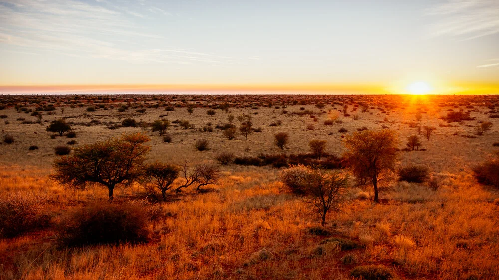 Sunrise Kalahari Desert Namibie, Sonnenaufgang in der Kalahari Wüste en Namibie - fotokunst von Dennis Wehrmann