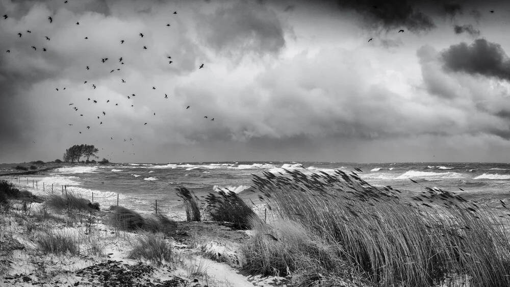 Tempête hivernale Mer Baltique, Wintersturm an der Ostsee - fotokunst von Dennis Wehrmann