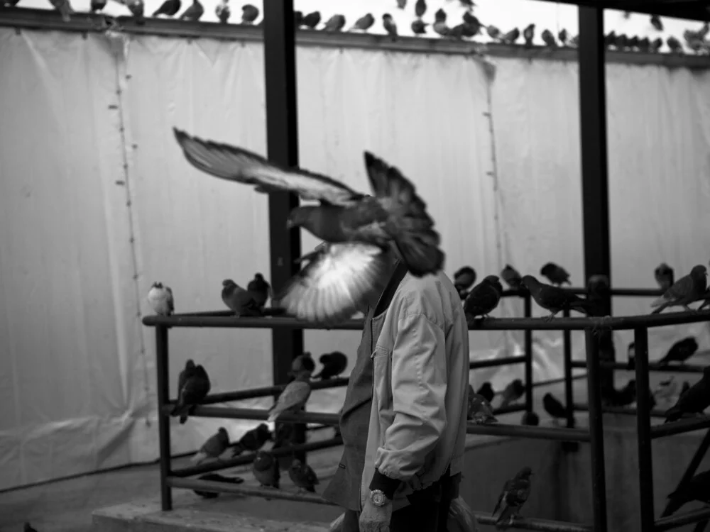 L'homme-oiseau - Photographie d'art par Nasos Zovoilis