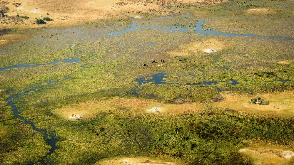 Vue à vol d'oiseau du delta de l'Okavango - Photographie d'art par Dennis Wehrmann