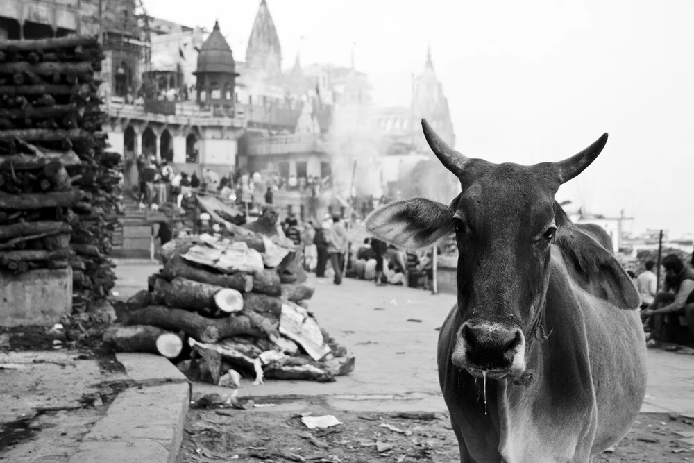 Eine Signatur-Szene des Glaubens à Varanasi Indien - Photographie d'art par Jagdev Singh