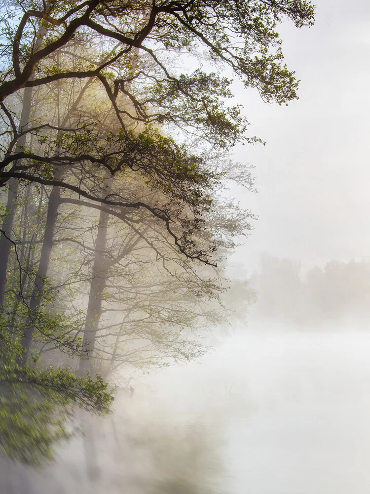 Matin brumeux au bord du lac - Photographie fineart par Jake Playmo