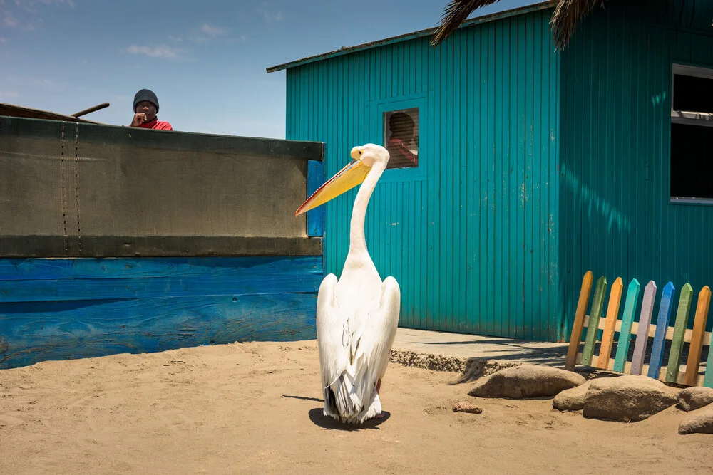 Pelikan am Pier - Photographie d'art par Michael Stein