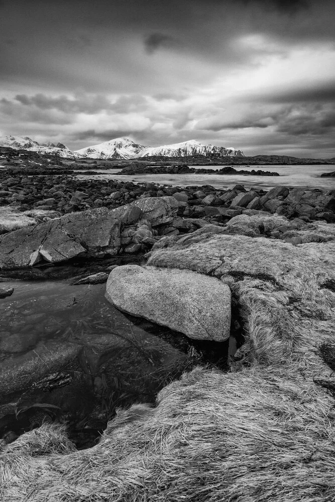 Eau, roche et herbe // Îles Lofoten, Norvège - fotokunst von Eva Stadler