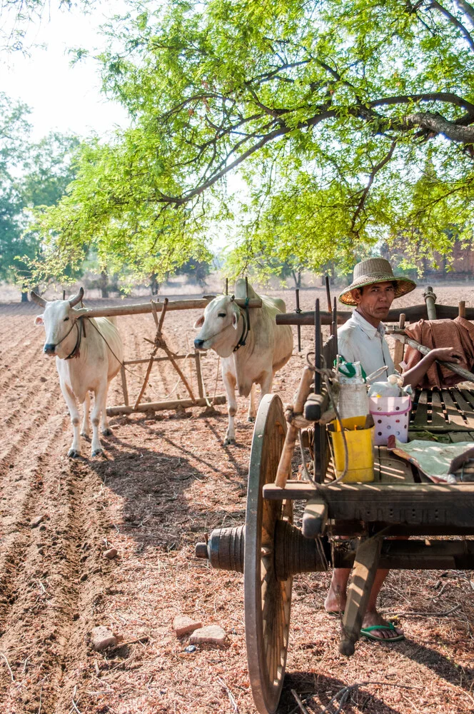 Ouvrier agricole - Photographie fineart de Juan Pablito Bassi
