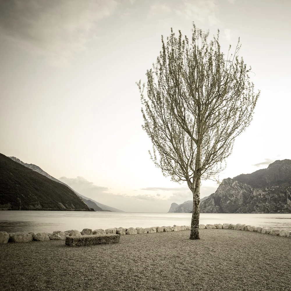 einsamer Baum - fotokunst de Sebastian Rost