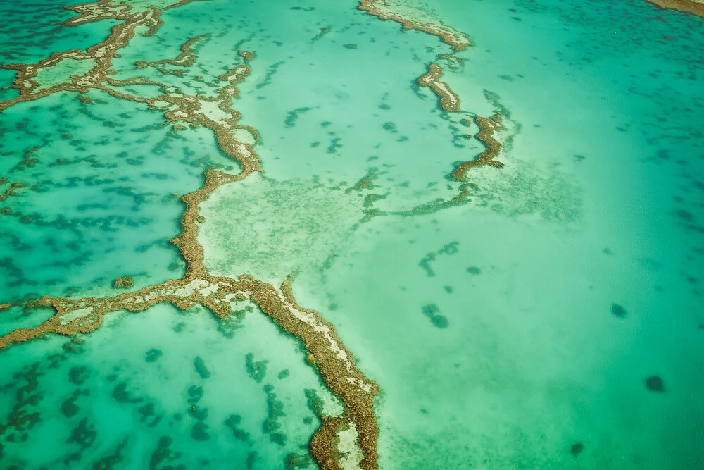 Grande Barrière de Corail - Photographie d'art par Martin Wasilewski