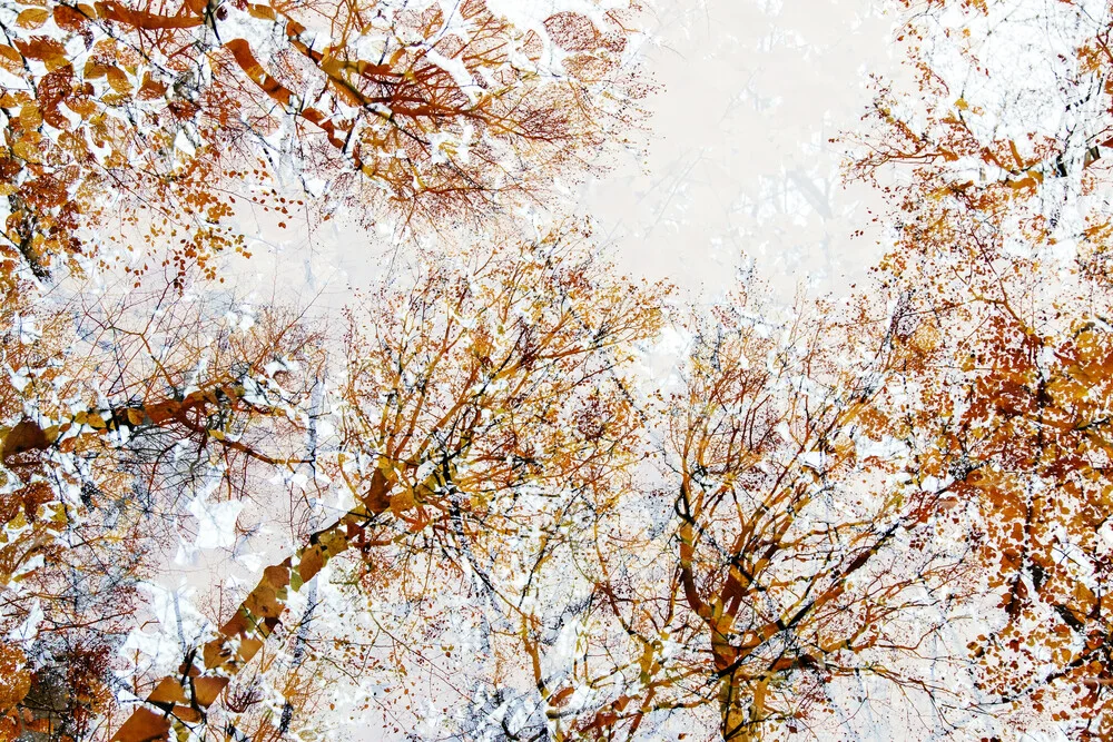Ciel plein de feuilles d'automne orange vif - Photographie Fineart de Nadja Jacke