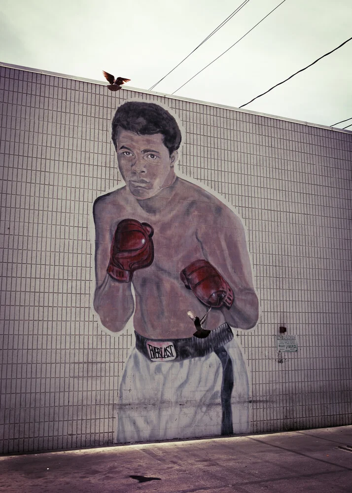 Ali vs pigeon - Photographie d'art par Florian Büttner