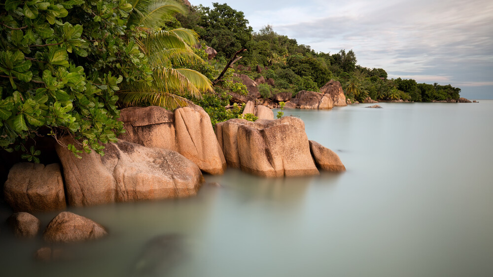 Paradis tropical - Photographie d'art par Moritz Esser