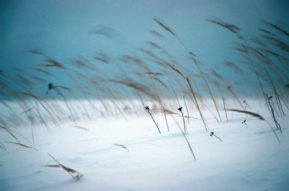Lettische Winter - Photographie d'art par Carsten Wilde